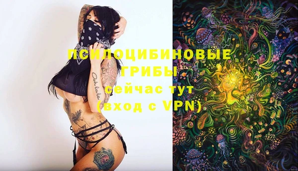 ALPHA PVP Приозерск