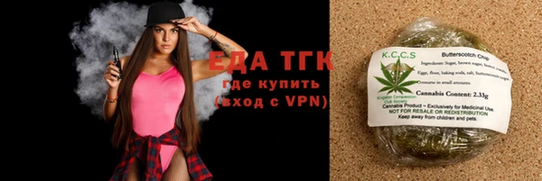 тгк Дедовск