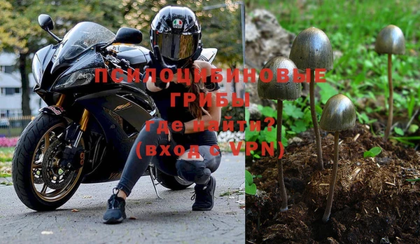 эйфоретик Пролетарск