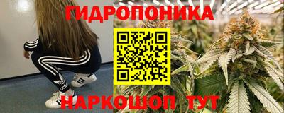 прущие грибы Азнакаево