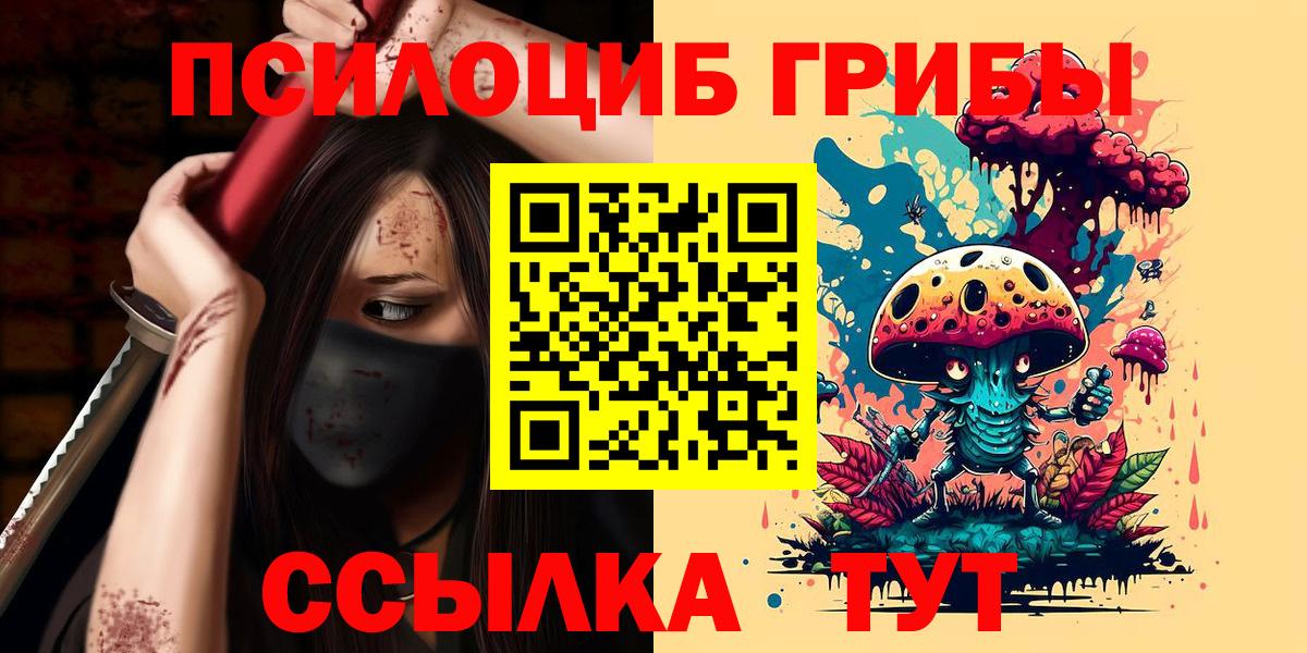 Псилоцибиновые грибы Cubensis Анжеро-Судженск