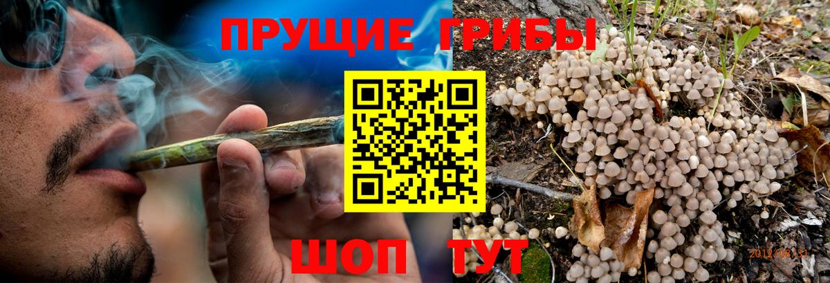 Псилоцибиновые грибы ЛСД  закладки  Анжеро-Судженск  Вход с VPN 