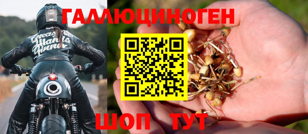 Псилоцибиновые грибы Psilocybe  Вход с VPN  Анжеро-Судженск 