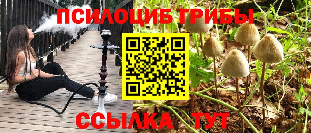 Галлюциногенные грибы прущие грибы Анжеро-Судженск