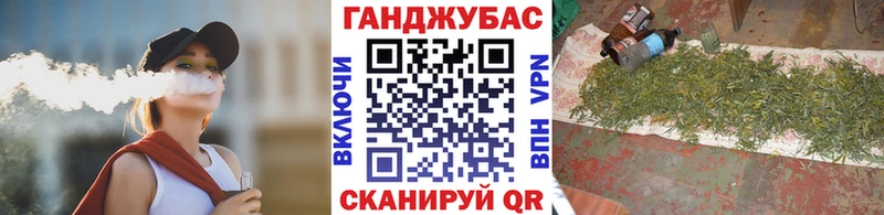 Канабис сатива  Анжеро-Судженск 